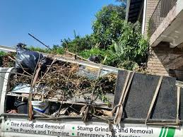 Best Shed Removal  in Keyser, WV
