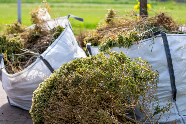 Best Garage Cleanout  in Keyser, WV